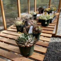 8' X 16' Greenhouse - Bench Kit (1 Bench)