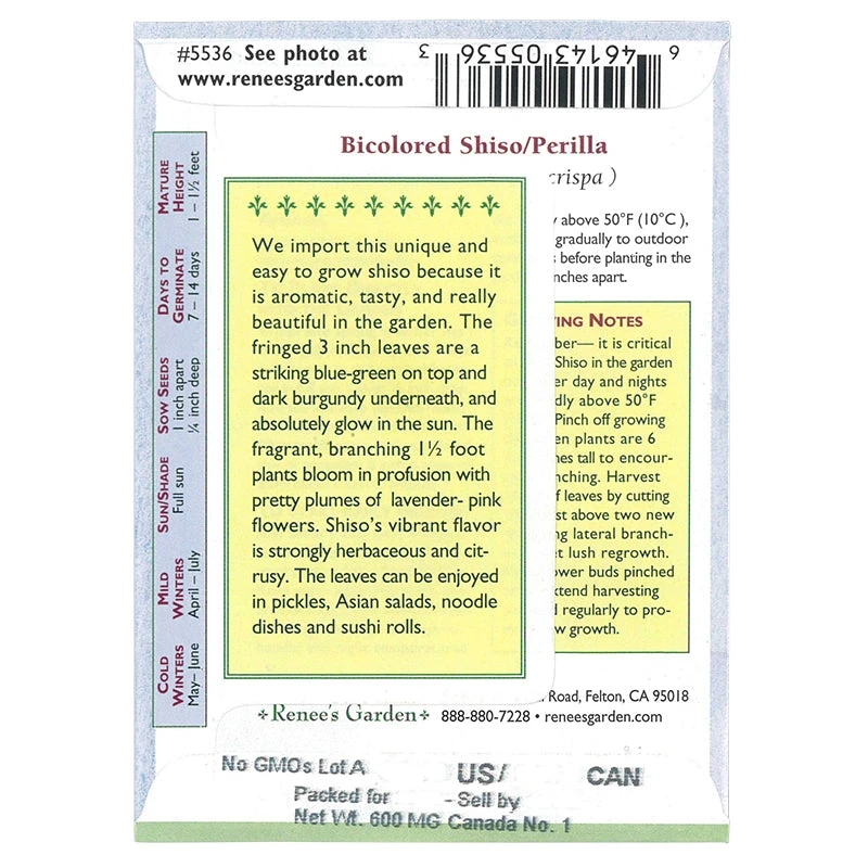 Renee's Garden Bicolor Shiso 2 Renee's Garden Bicolor Shiso - Billede 2