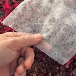 Agribon AG-15 Insect Barrier (10' X 50')