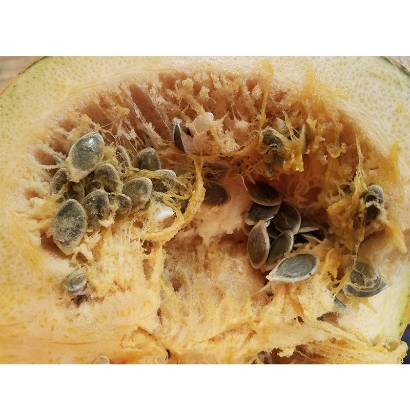 Kakai (Hull-Less) Pumpkin Seeds (Organic) 3 Kakai (Hull-Less) Pumpkin Seeds (Organic) - Billede 3