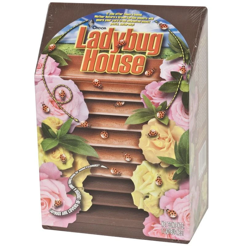 Ladybug House 1 Ladybug House