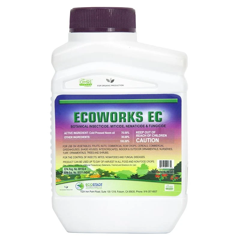 Ecoworks EC (16 Ounce) (OID DUAL) 1 Ecoworks EC (16 Ounce) (OID DUAL)