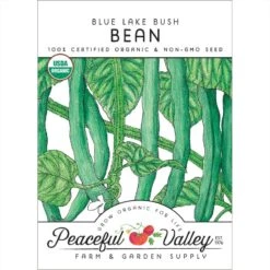 Blue Lake Bush Bean Seeds (Organic)