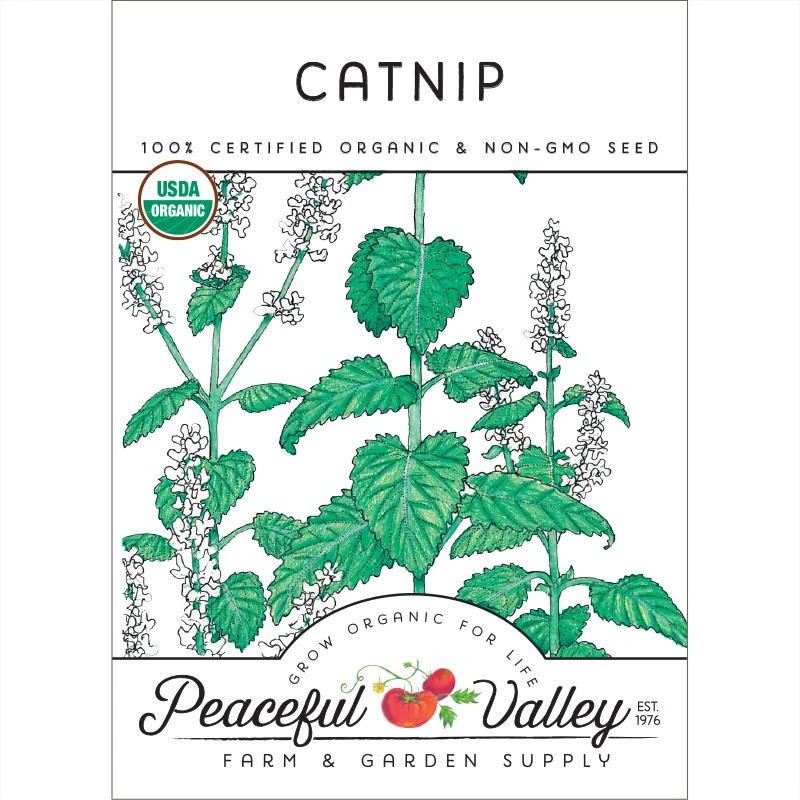 Organic Catnip 1 Organic Catnip