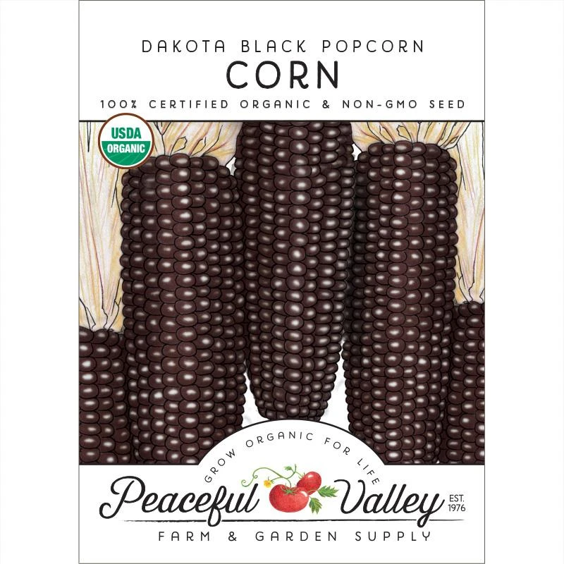 Dakota Black Popcorn Corn Seeds (Organic) 1 Dakota Black Popcorn Corn Seeds (Organic)