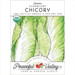 Chicory Sugarloaf Greens Seeds (Organic)