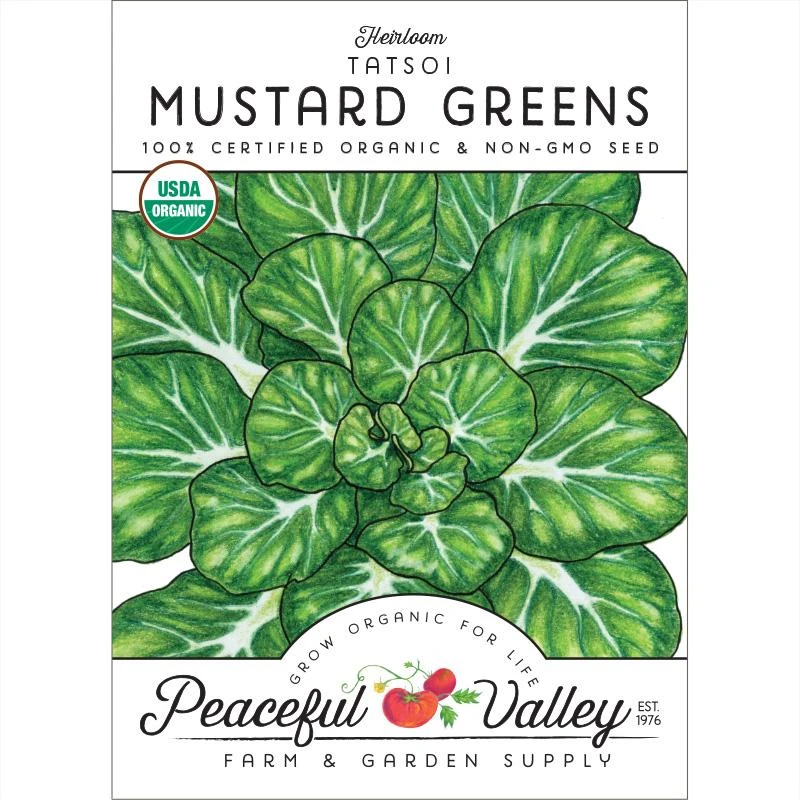 Mustard Tatsoi Greens Seeds (Organic) 1 Mustard Tatsoi Greens Seeds (Organic)