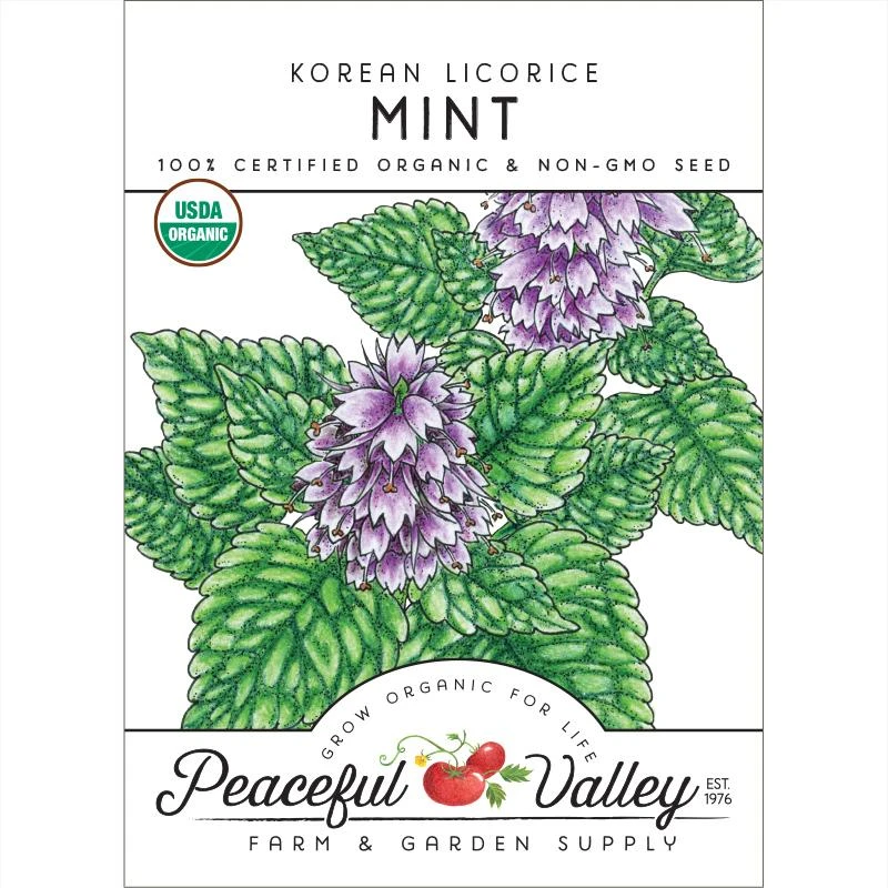 Organic Mint, Korean Licorice 1 Organic Mint, Korean Licorice