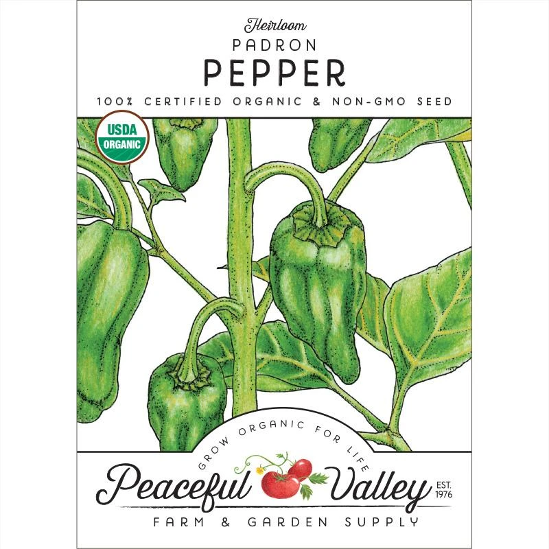 Padron Pepper Seeds (Organic) 1 Padron Pepper Seeds (Organic)