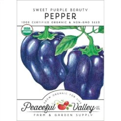 Purple Beauty Sweet Pepper Seeds (Organic)