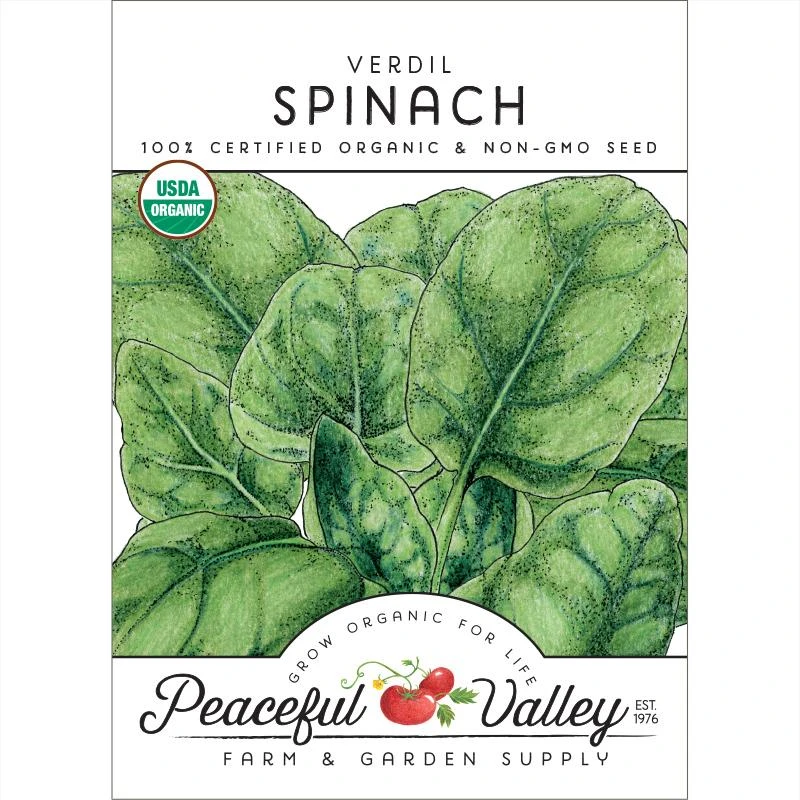 Verdil Spinach Seeds (Organic) 1 Verdil Spinach Seeds (Organic)