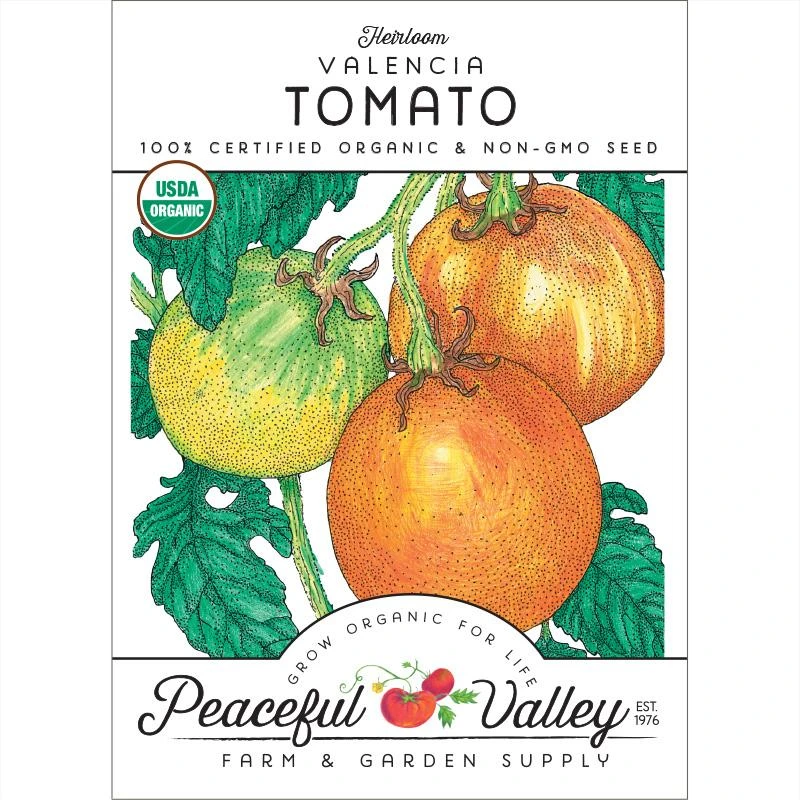 Valencia Tomato Seeds (Organic) 1 Valencia Tomato Seeds (Organic)