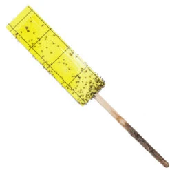 Gnat Stix For Houseplants -Felco Planter Butik pit769 1