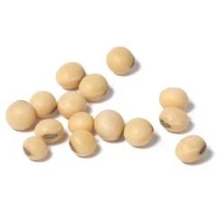 Soybeans - Raw Seed (lb) -Felco Planter Butik scl860 cat