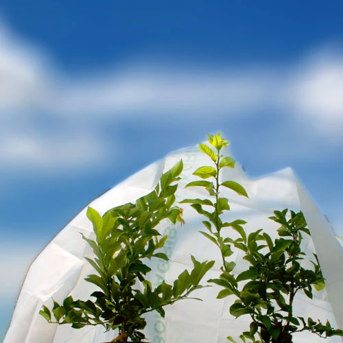 Agribon Frost Blanket - Small (7'X7') Pack Of 5 2 Agribon Frost Blanket - Small (7'X7') Pack Of 5 - Billede 2