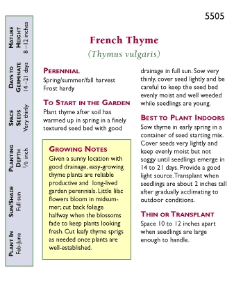 Renee's Garden French Thyme 3 Renee's Garden French Thyme - Billede 3