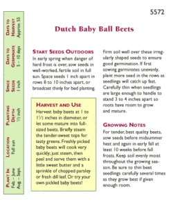 Renee's Garden Beet Dutch Baby Ball 5 Renee's Garden Beet Dutch Baby Ball -Felco Planter Butik snv4032 pb