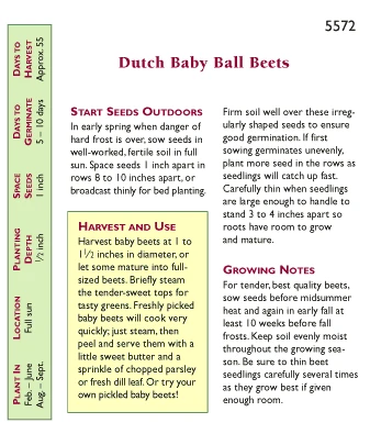 Renee's Garden Beet Dutch Baby Ball 3 Renee's Garden Beet Dutch Baby Ball - Billede 3