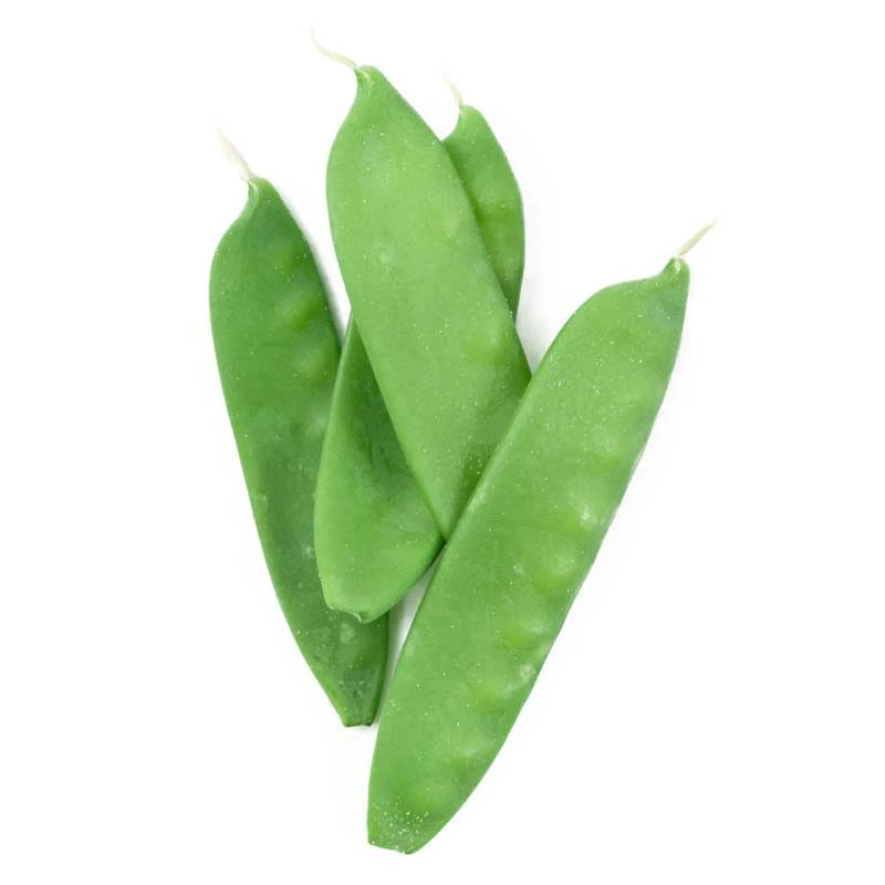 Oregon Sugar Pod Pea Seeds (Organic) 2 Oregon Sugar Pod Pea Seeds (Organic) - Billede 2