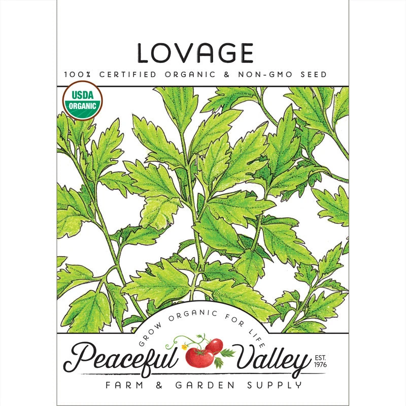Organic Lovage 2 Organic Lovage - Billede 2