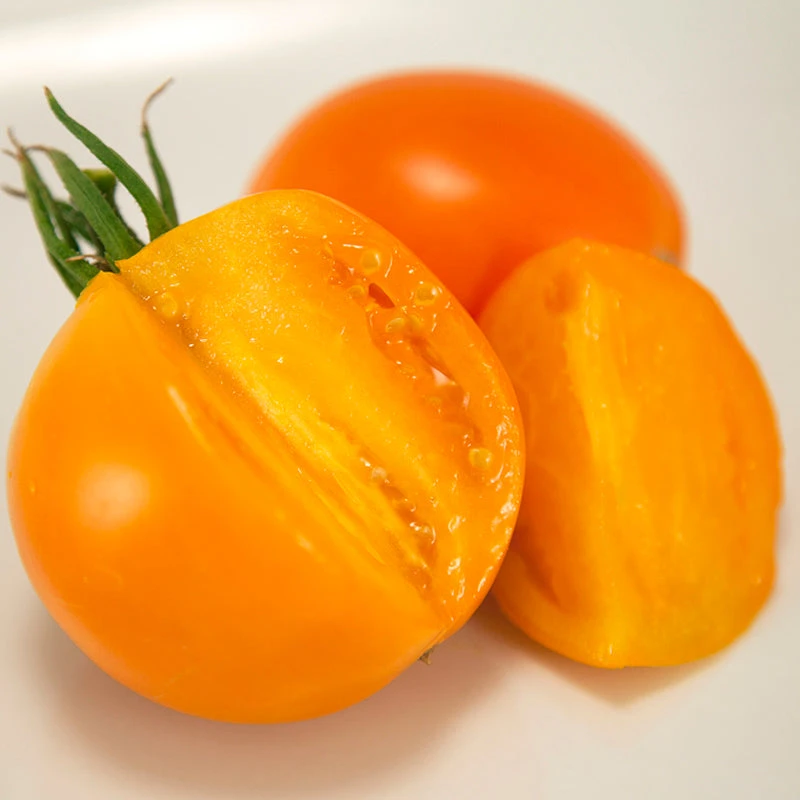 Valencia Tomato Seeds (Organic) 2 Valencia Tomato Seeds (Organic) - Billede 2