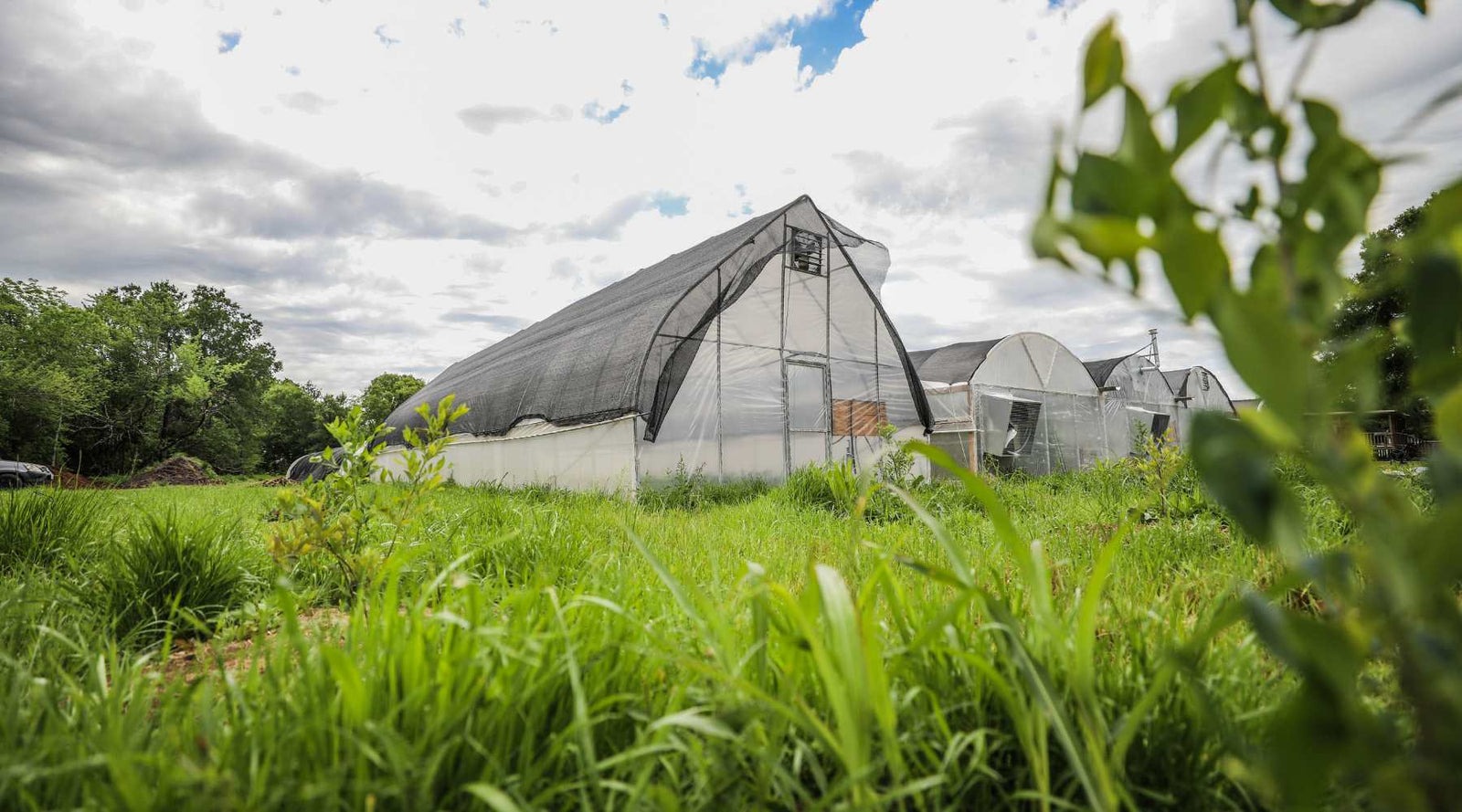 Felco Planter Butik -Felco Planter Butik ShadeCloth 745e199c 45e8 418e 9d